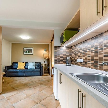 Apartment Vaclavov เดชชิน ภายนอก รูปภาพ
